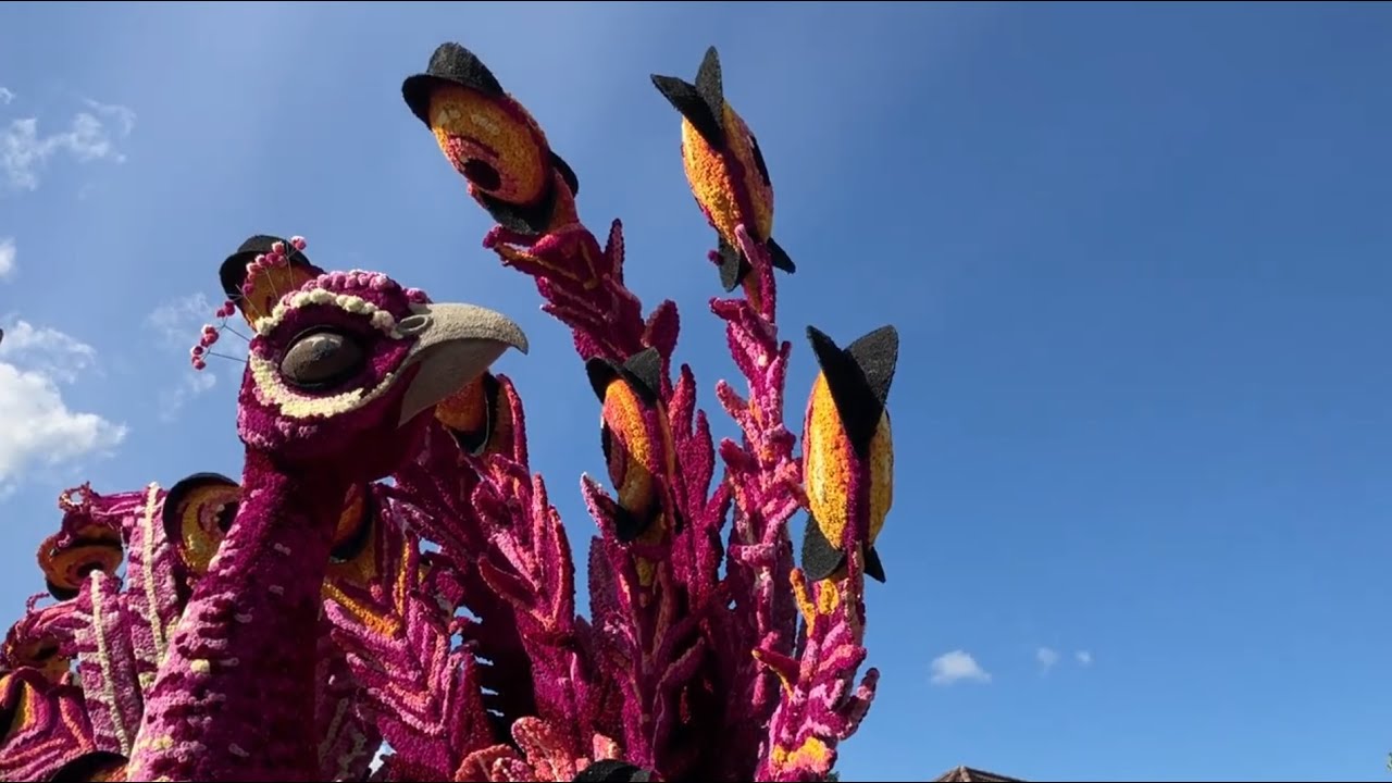 Bloemencorso Lichtenvoorde 2025 compleet, zo 14 september 2025 (1 uur en 19 min)