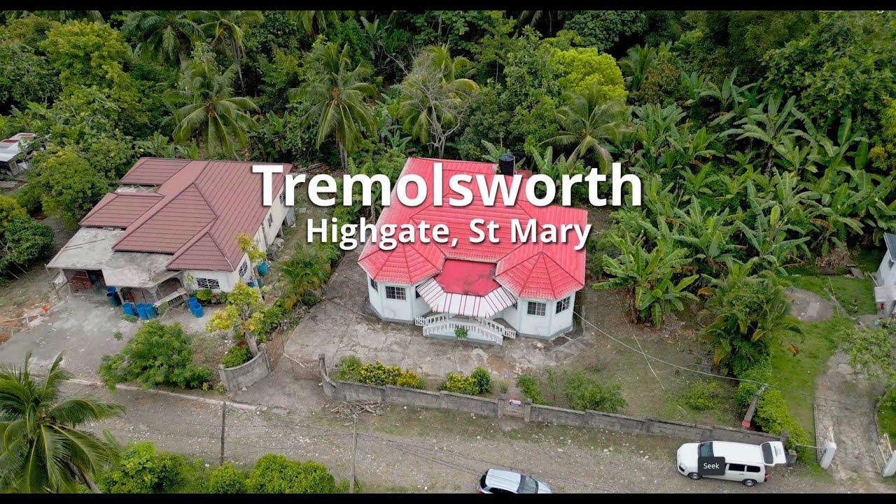 Exploring a Homestead in Highgate, St. Mary | Jamaica
