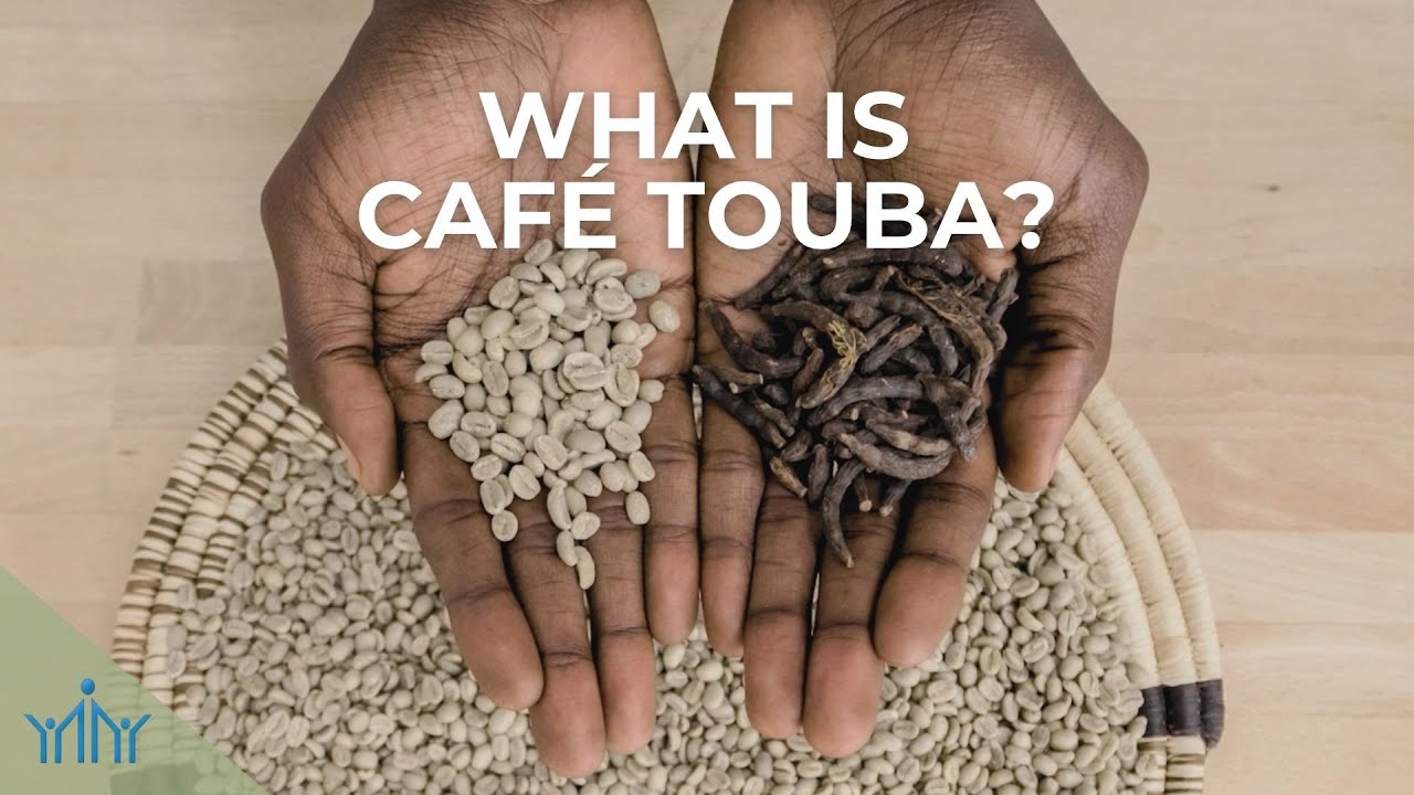 Что такое Café Touba? Откройте для себя пряный кофе из Сенегала и его полезные свойства | Wiseman...