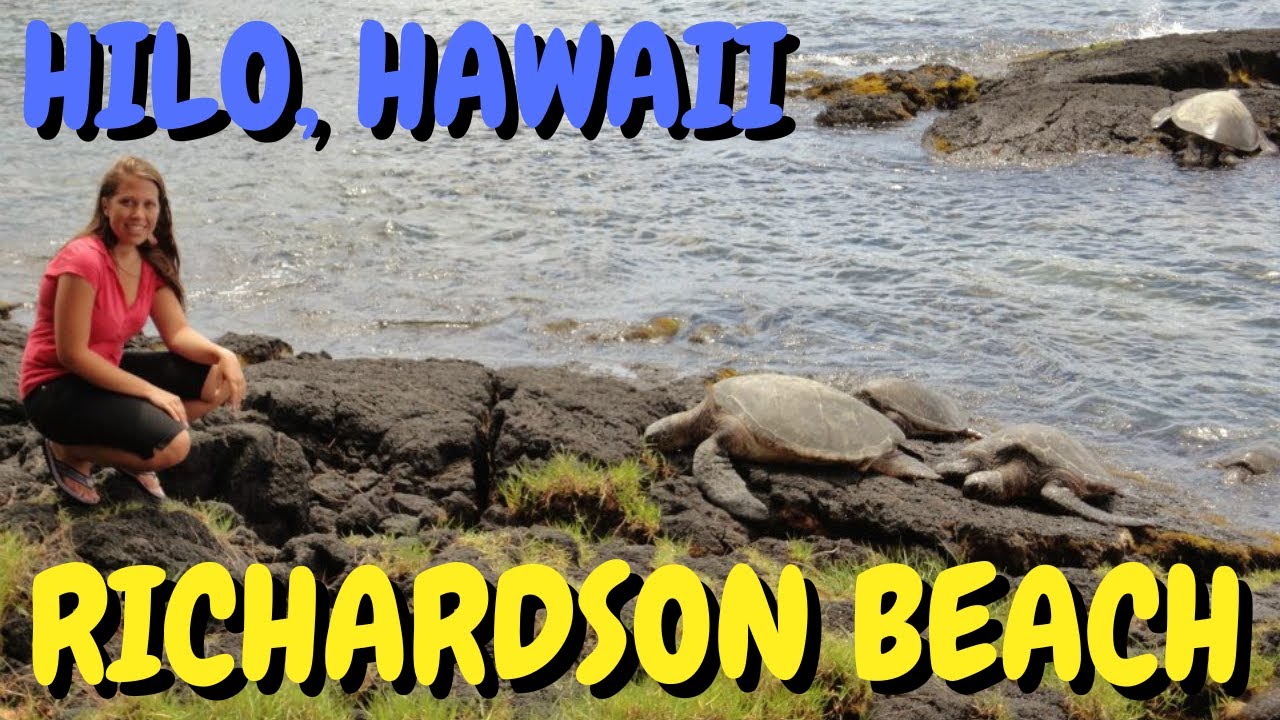 Richardson Ocean Park in Hilo 2022 - A Family Friendly Beach on the Big Island with Sea Turtles 4K