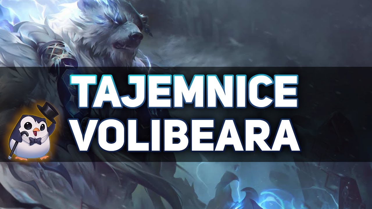 Tajemnice tekstów VOLIBEARA