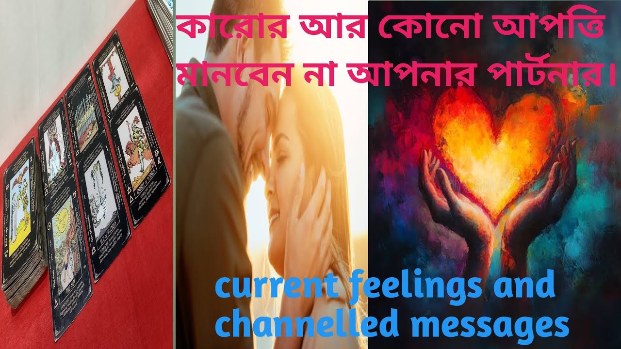 কোনো আপত্তি মানবেন না ll current feelings and channelled messages ll timeless reading ll all signs 🌈