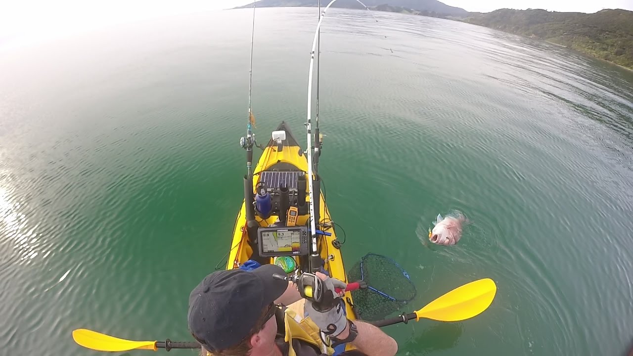SharkerZ Fishing Videos - Labour Weekend 2016 - Snapper