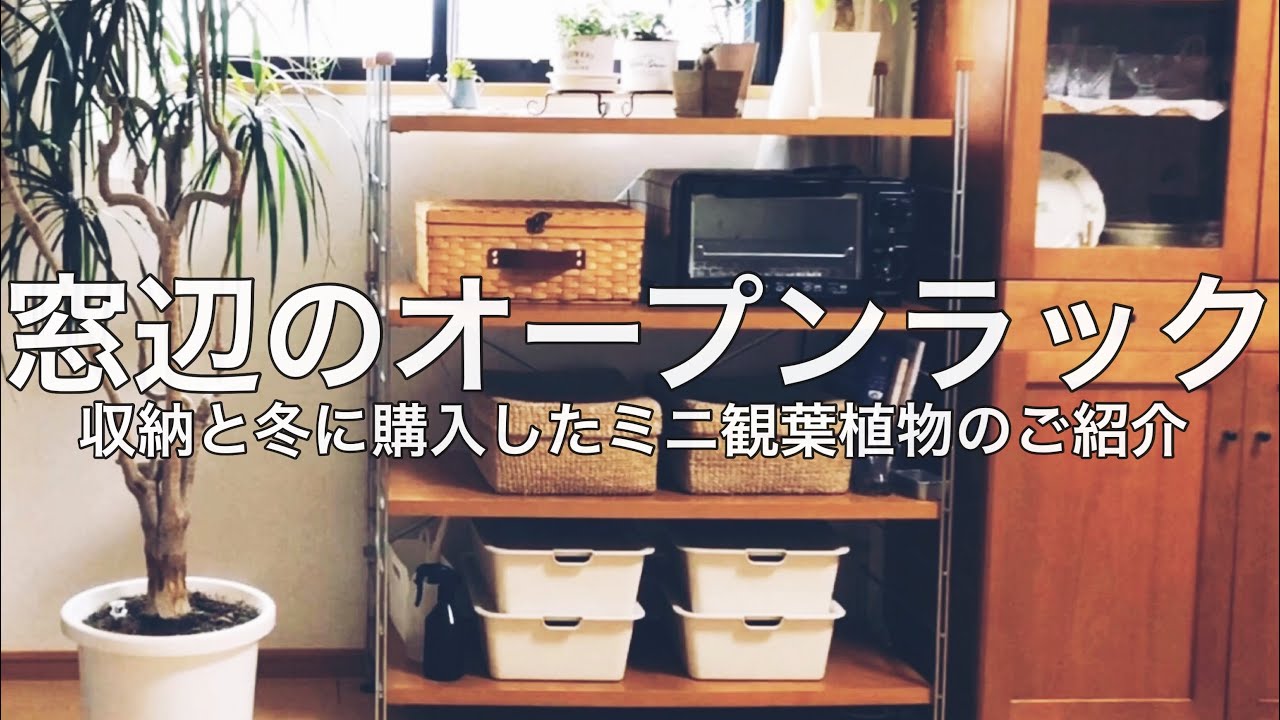 【収納】古いオープンラックと冬に購入したミニ観葉植物のご紹介【見せる収納】