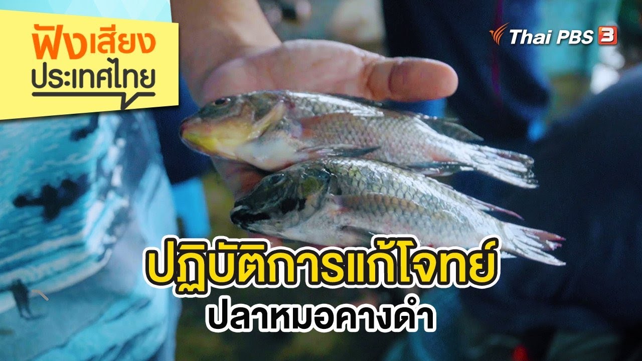 ปฏิบัติการแก้โจทย์ปลาหมอคางดำ | ฟังเสียงประเทศไทย