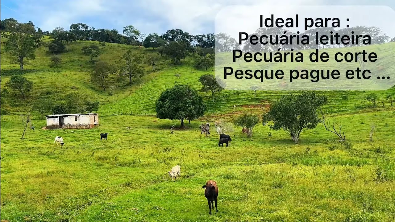 Sítio a venda em Minas Gerais 10 hectares muita água e documentado.