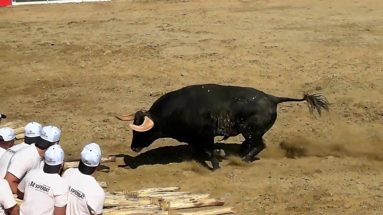 2.&ordm; Alfaiates, Soito - XXXIII Festival &lsquo;&Oacute; Forc&atilde;o Rapazes!&rsquo;, 18.8.2018, Capeia