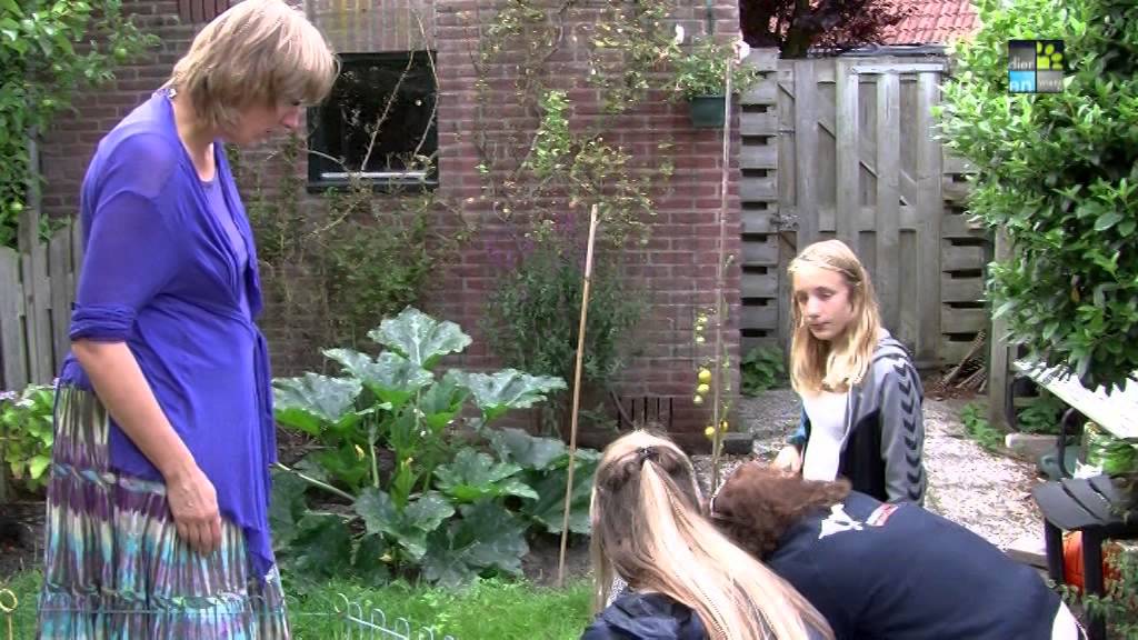 DIER EN VRIEND TV AFL. 203 - 'T KNAGERTJE DEN HAAG