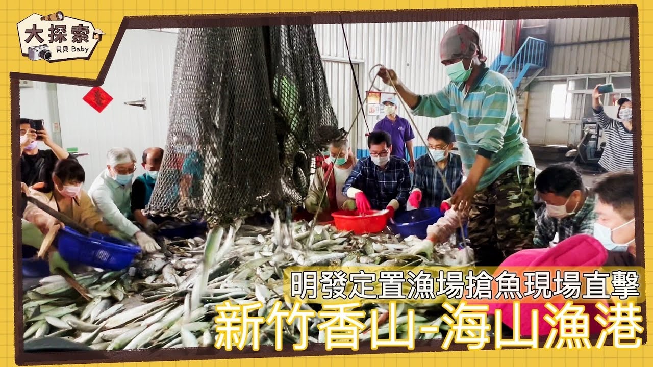 【漁港走透透】#23 直擊新竹香山明發定置漁場搶魚｜海山漁港｜Buying fish from a fixed fish farm in Hsinchu, Taiwan ｜ EP_113