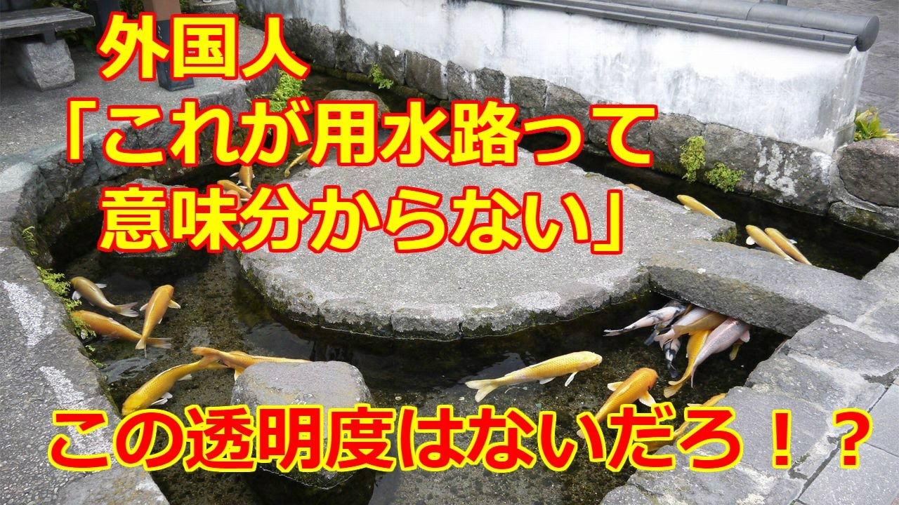 【海外の反応】「これが街中の用水路なの？」鯉が泳ぐ日本の用水路の水のありえない透明度に驚愕!!【動画のカンヅメ】