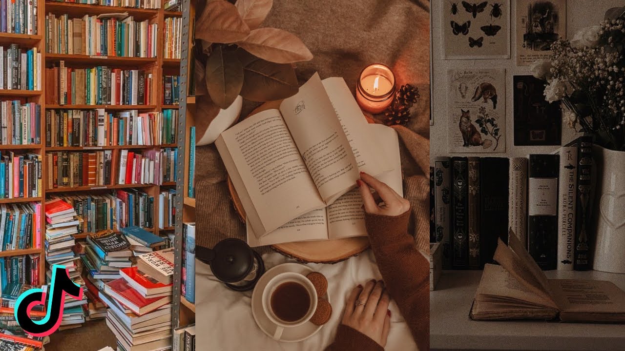📖 Booktoks to watch for the beginning of autumn🍁