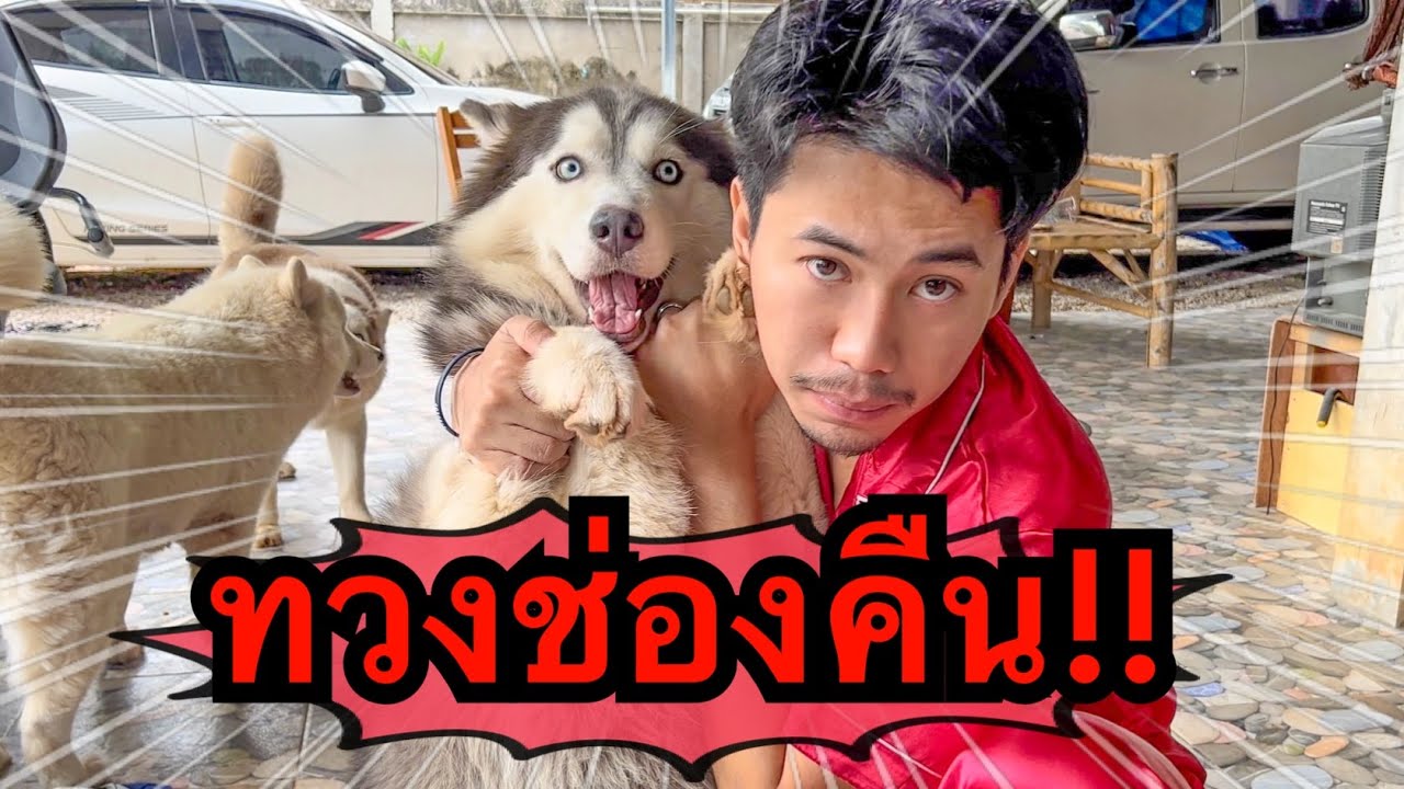 ถึงเวลาทวงช่องคืนให้ข้าวสากแล้ว (หลังจากโดนข้าวเหนียวยึด)