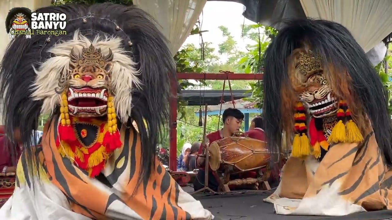FULL BUDAYA!!! Naik Reog Ponorogo & Rampak Barongan Manggolo Suro Live Desa Sendangharjo 