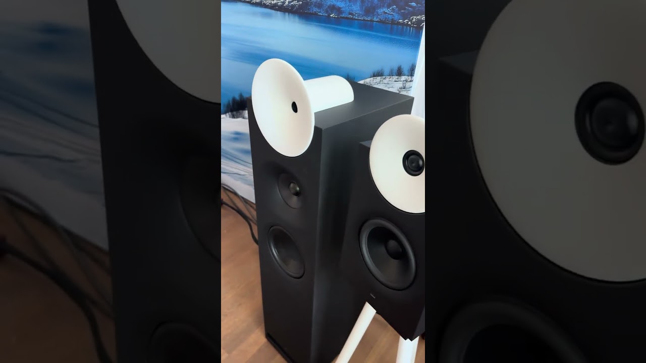 Aretai loudspeakers 🔊😍🔥 #loudspeaker #hifi #highendaudio #music #audiophile