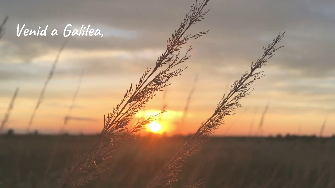 SECUENCIA PASCUAL. AIN KAREM (FUEGO Y ABRAZO)