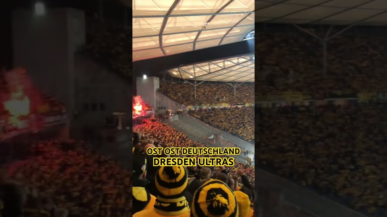 DYNAMO DRESDEN ULTRAS #ultras #dynamodresden #shorts
