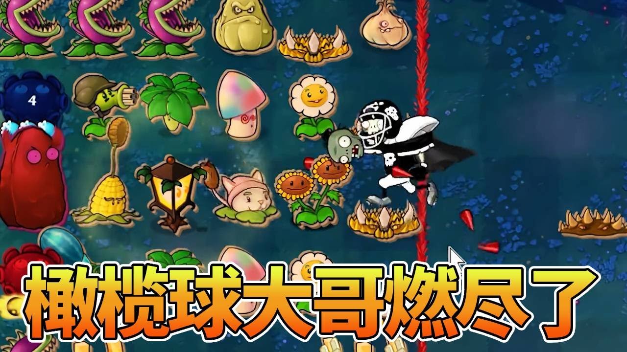 【植物大战僵尸合集】橄榄球大哥被做局，这把多亏大哥燃尽吃掉猫尾草，变成纯运气游戏的形状！【猪哥游戏解说】