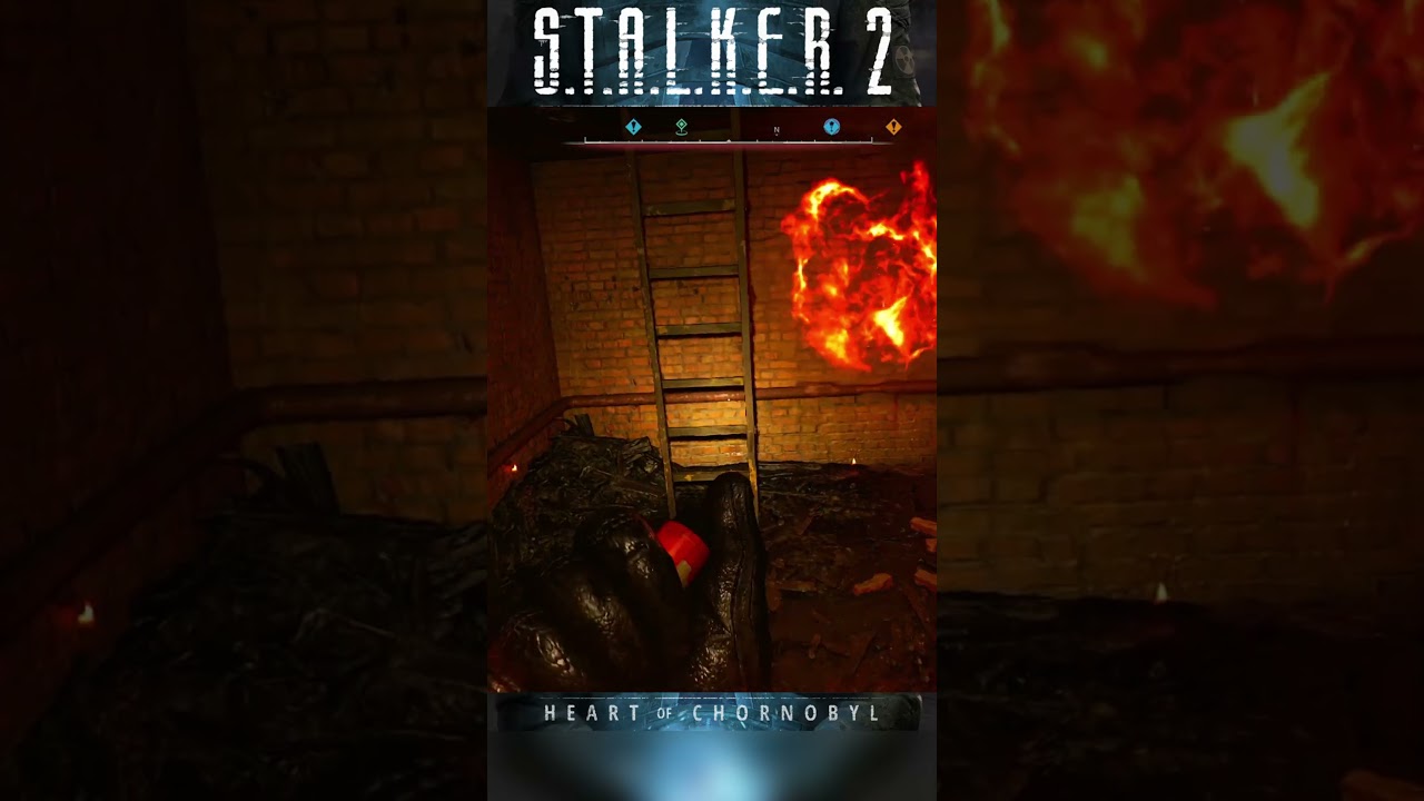 What’s in the Journalist’s Stash in the Burnt Forest? | STALKER 2 | Cхрон журналіста в Горілому лісі