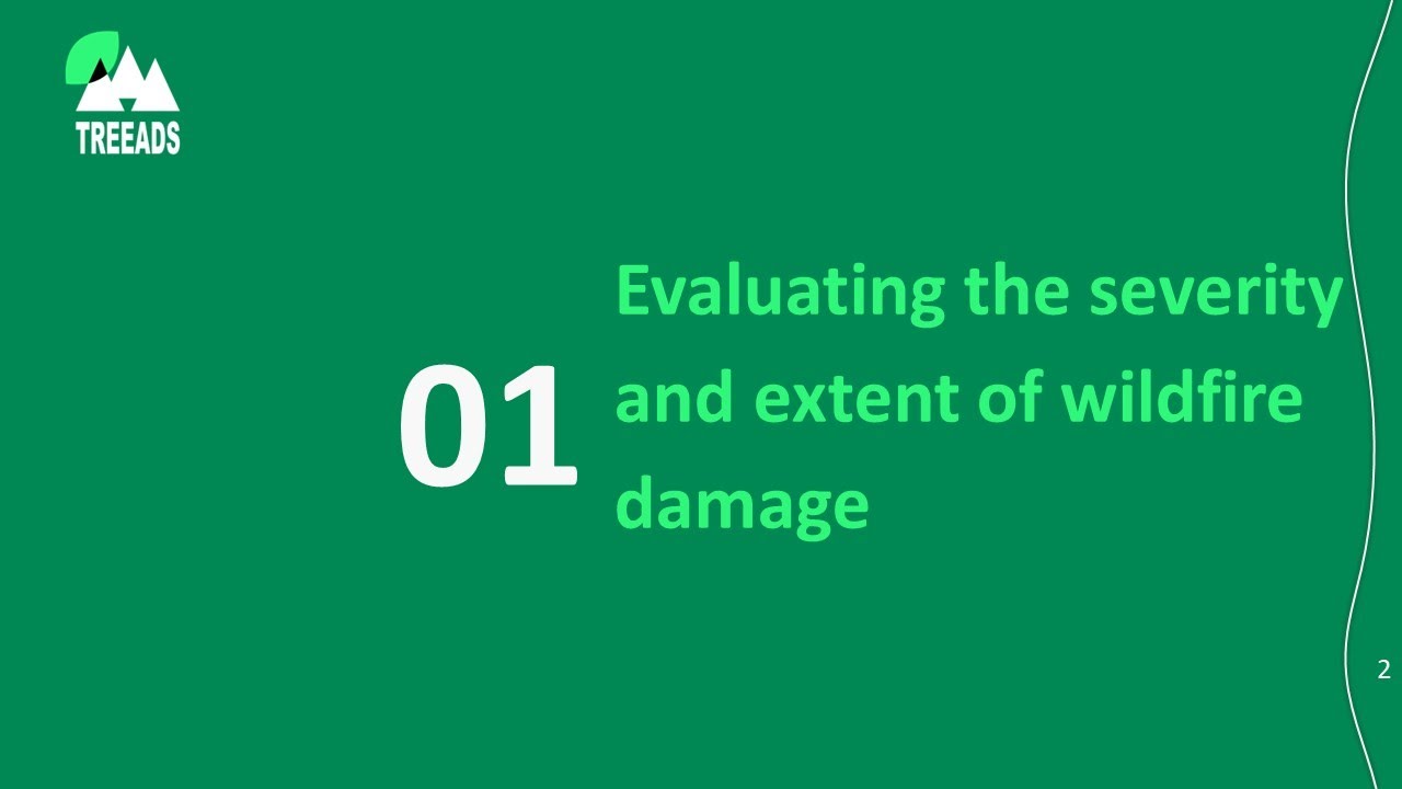 2.1. Evaluating the severity and extent of wildfire damage