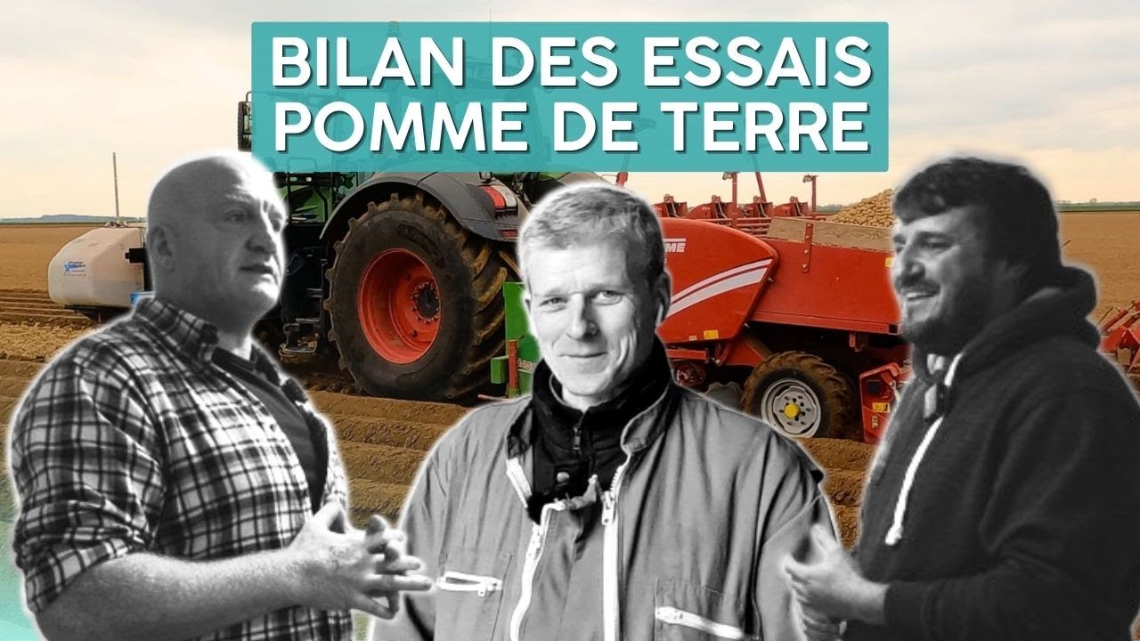 Bilan des essais pluriannuels sur pomme de terre : des résultats édifiants !