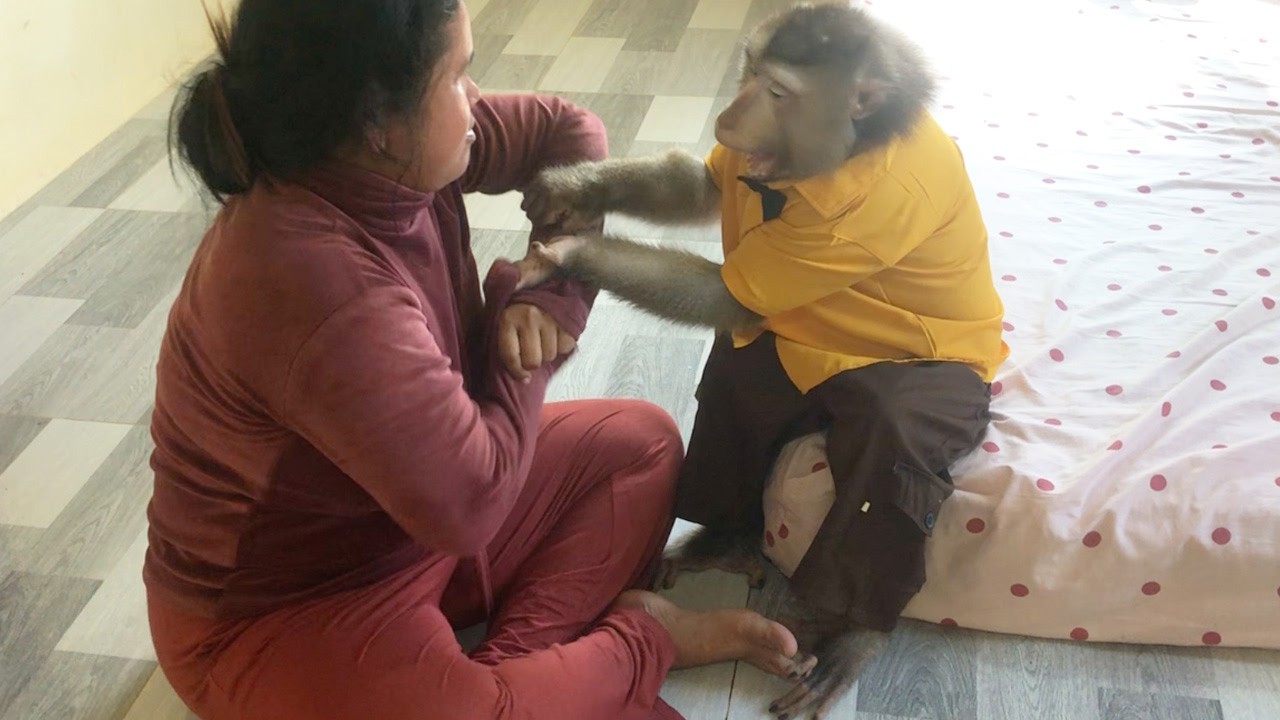 Jason Decide Arguing Against Mom Scold Him For Absolute Mistake