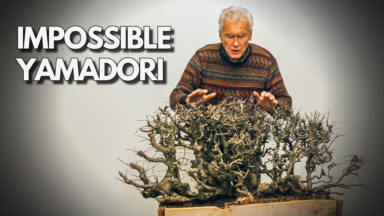 Walter Pall's SECRET to Taming IMPOSSIBLE Yamadori Bonsai Material
