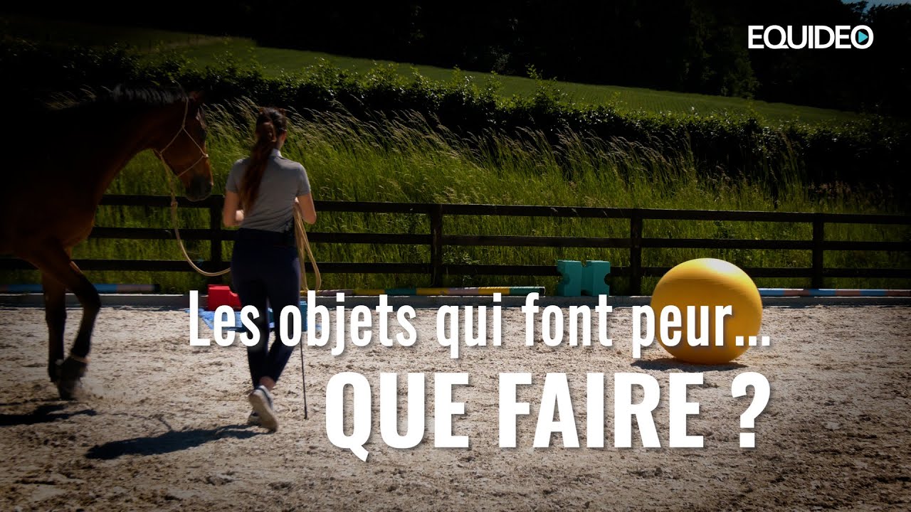 Les objets qui font peur aux chevaux ...que faire ?