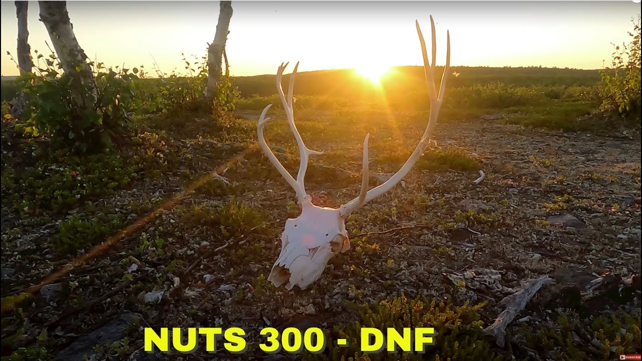 NUTS 300 - DNF