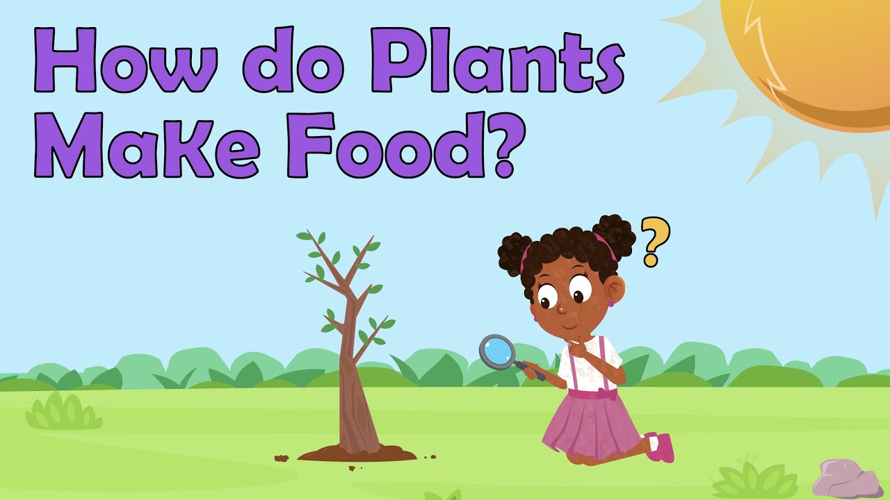 How do plants make food? | Photosynthesis for kids | Plants ks3 | What is Photosynthesis? | Plants