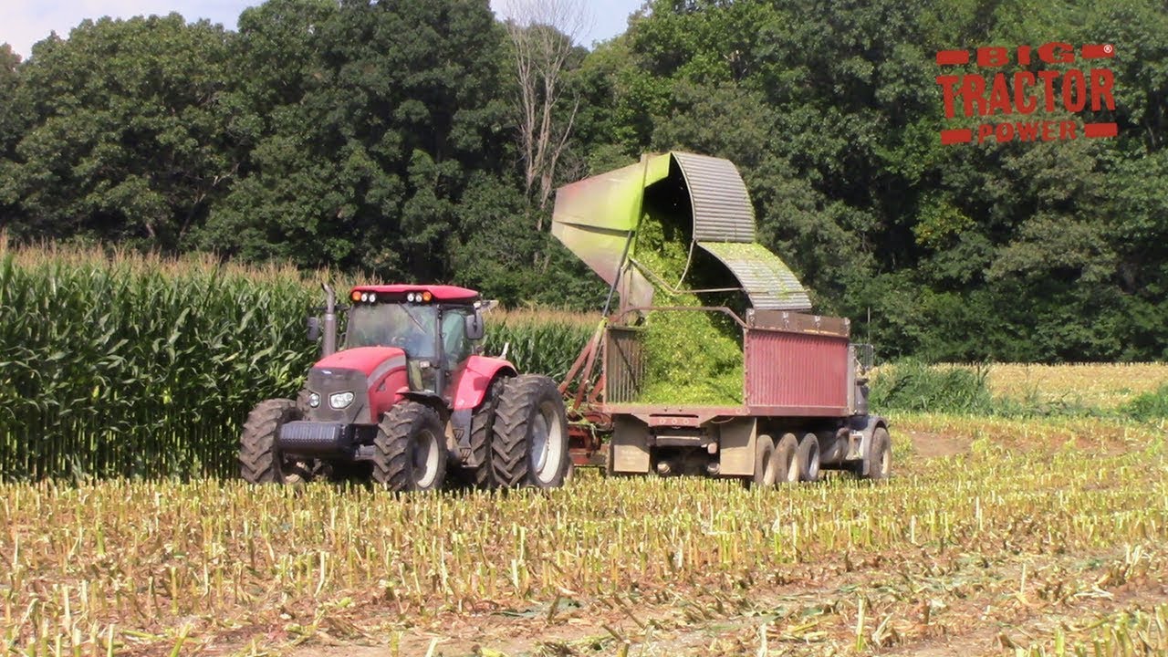 Chopping A Corn Field in a Square Pattern