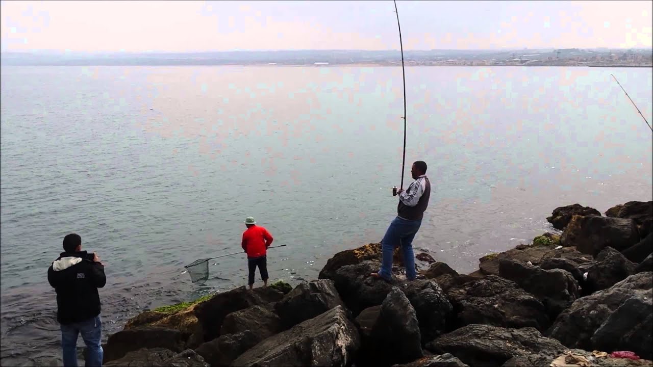 Dorade à Sidi Fredj - Surfcasting en Algérie