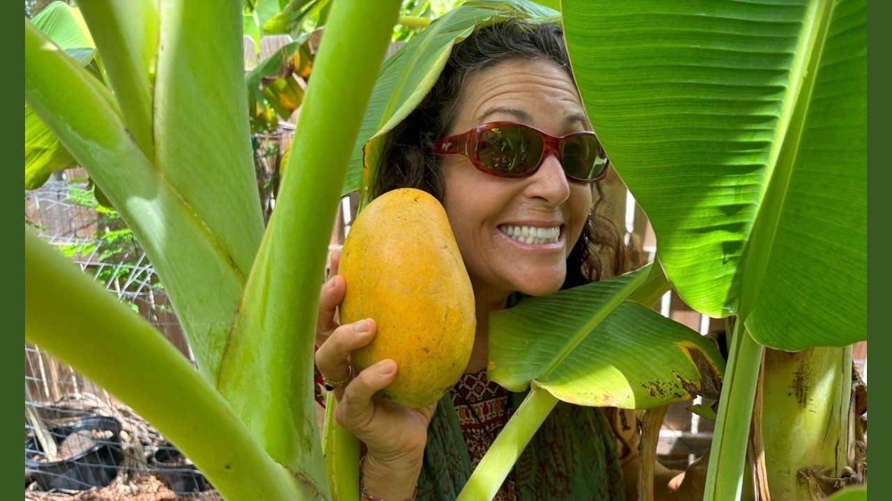 We made a Residential Food Forest with Regenerative Agriculture! #homesteading #healthyfood