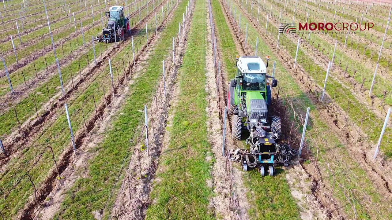 Lavorazione Interceppo/Sottofila Vigneto 🚜🍇