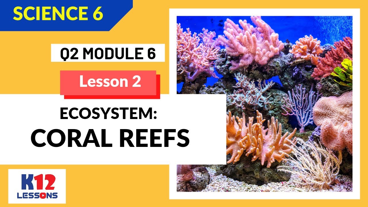 Science 6 Quarter 2 Module 6 Lesson 2 - Ecosystem: Coral Reefs