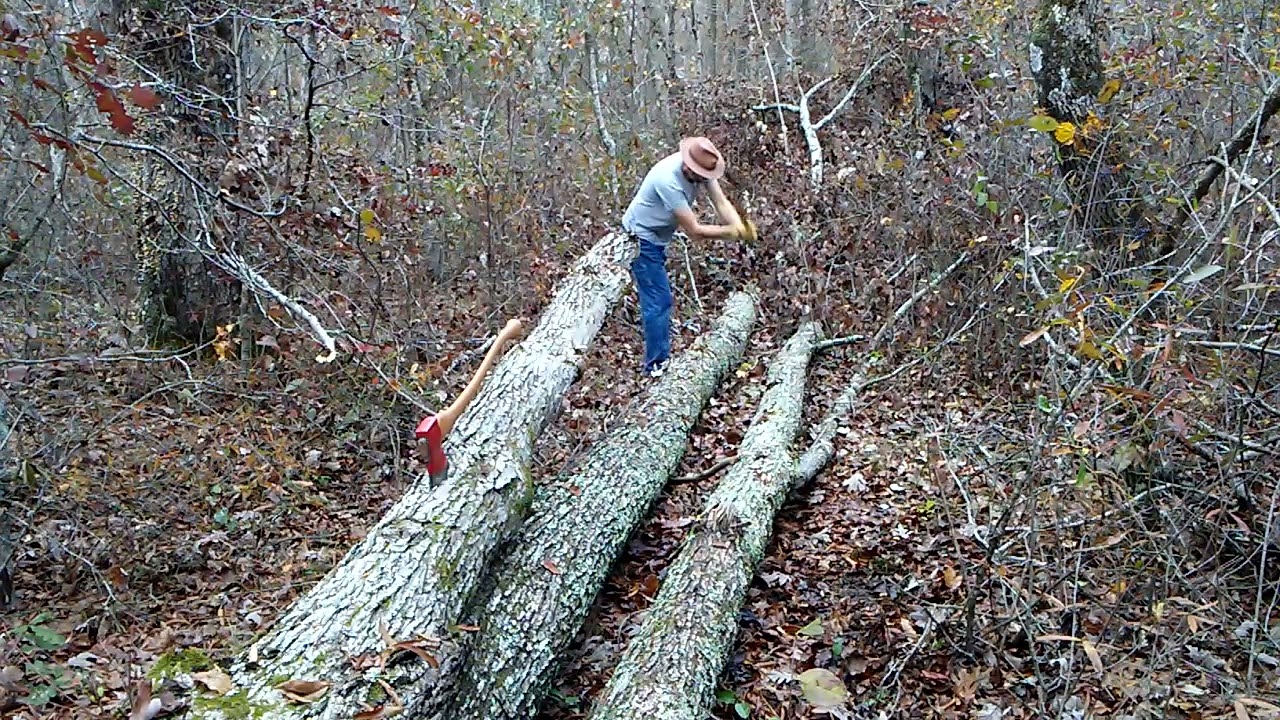 Axe Limbing rock maple part 1