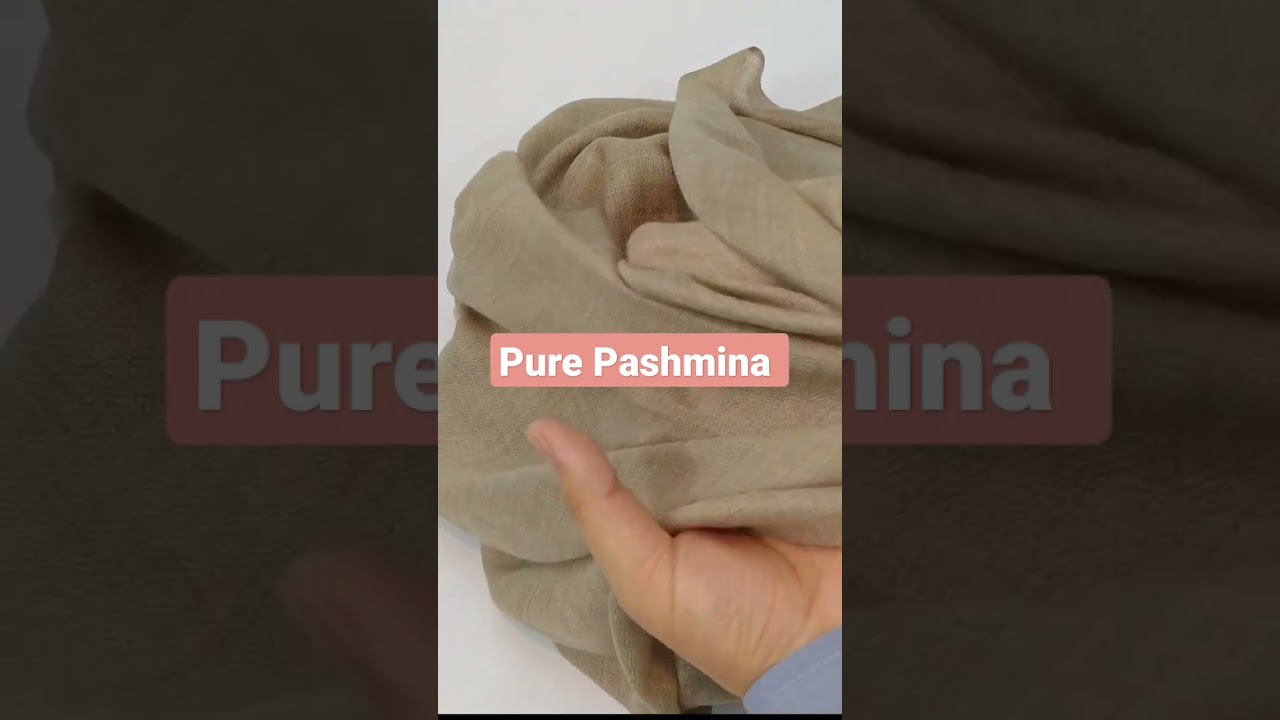 pure Cashmere Pashmina shawl - plain pashmina winter 2023