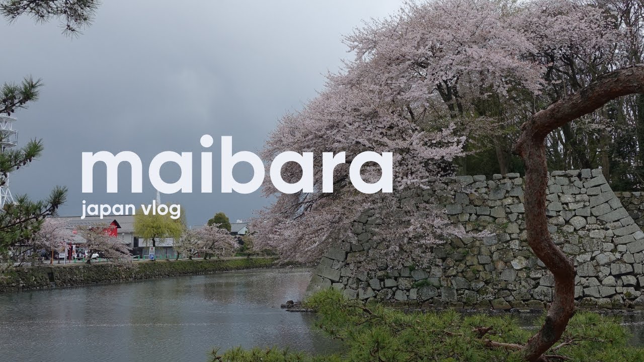 a cozy vlog in maibara, japan 🇯🇵 slow mornings & peaceful views