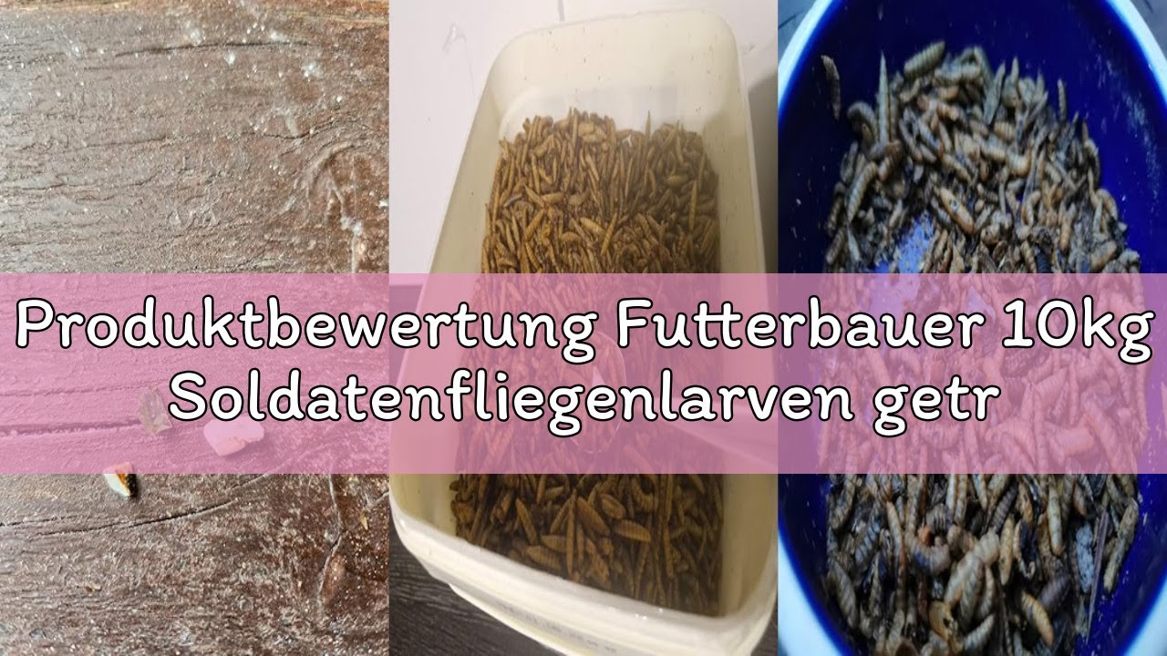 Produktbewertung Futterbauer 10kg Soldatenfliegenlarven getrocknet, Premium Vogelfutter, Fischfutter
