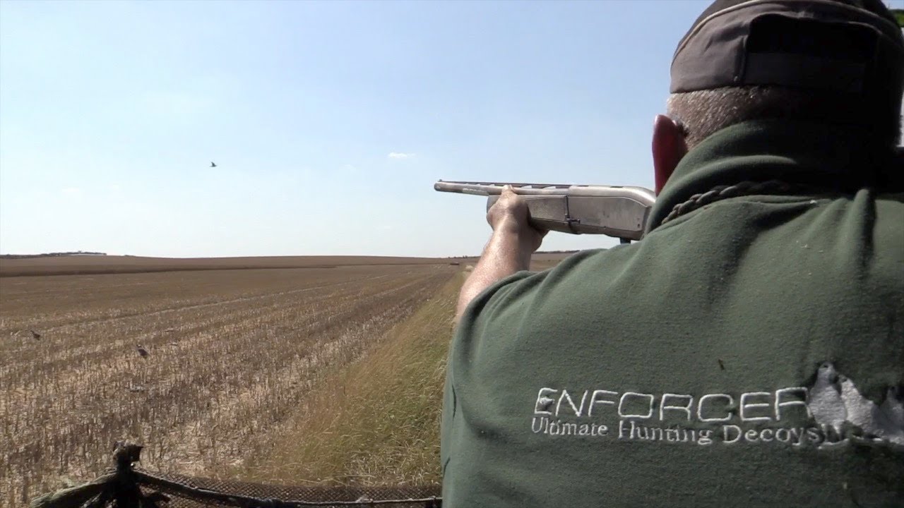 The Shooting Show – back out pigeon shooting with Geoff Garrod PLUS news from The Game Fair 2019