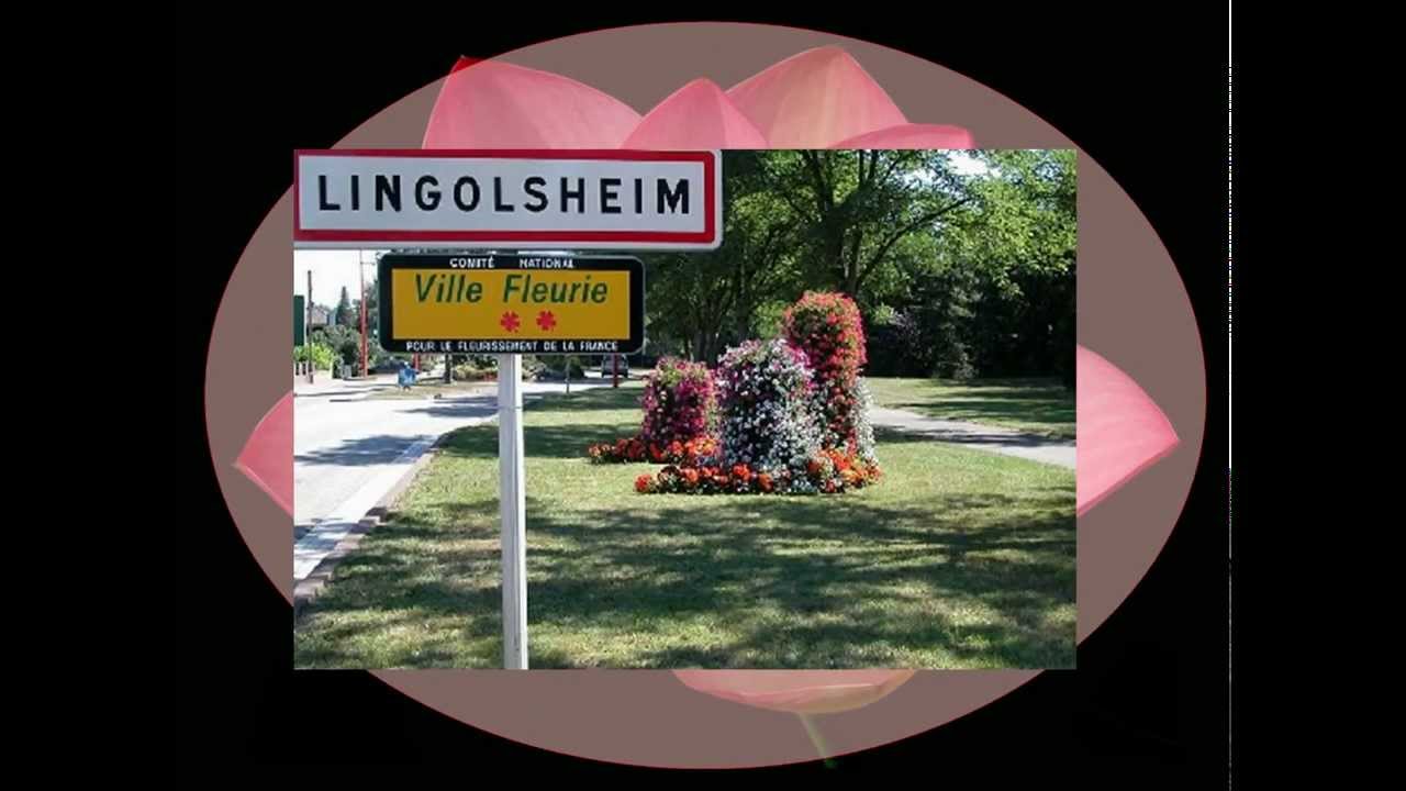 Lingolsheim  - Alsace  - France