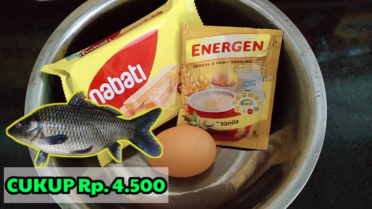 UMPAN IKAN MAS || TIDAK HARUS MAHAL