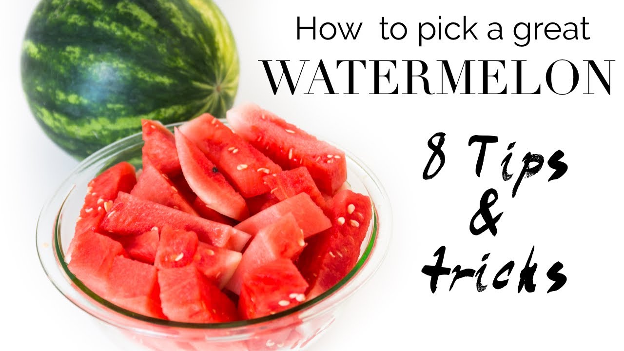 TIPS ON HOW TO PICK A GREAT WATERMELON | Vegan Michele