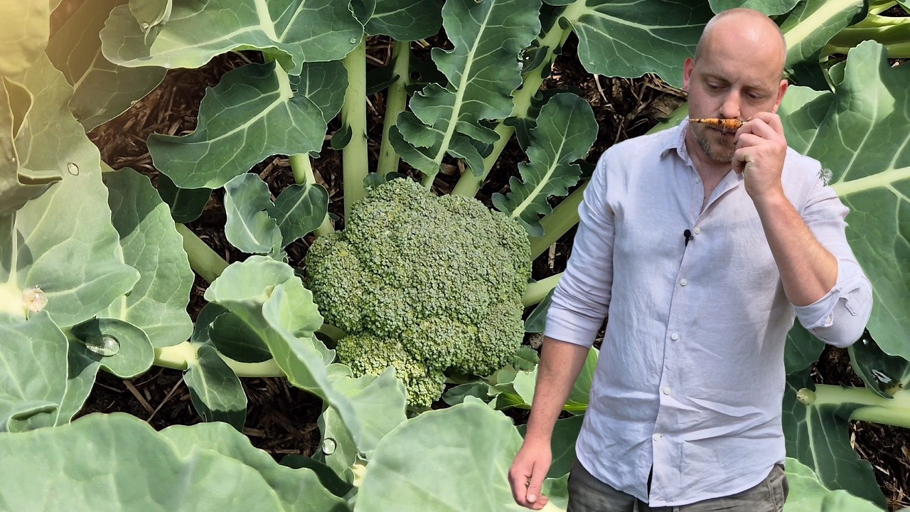 Rondleiding in Sam's Moestuin | mei 2025