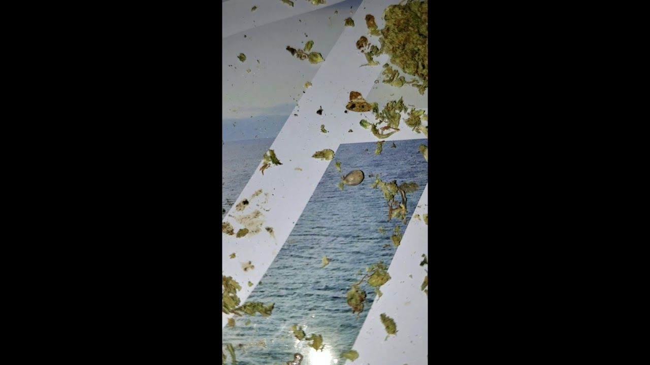 Elektra Cbd flower from drganja.com with coupon code cbdqueen