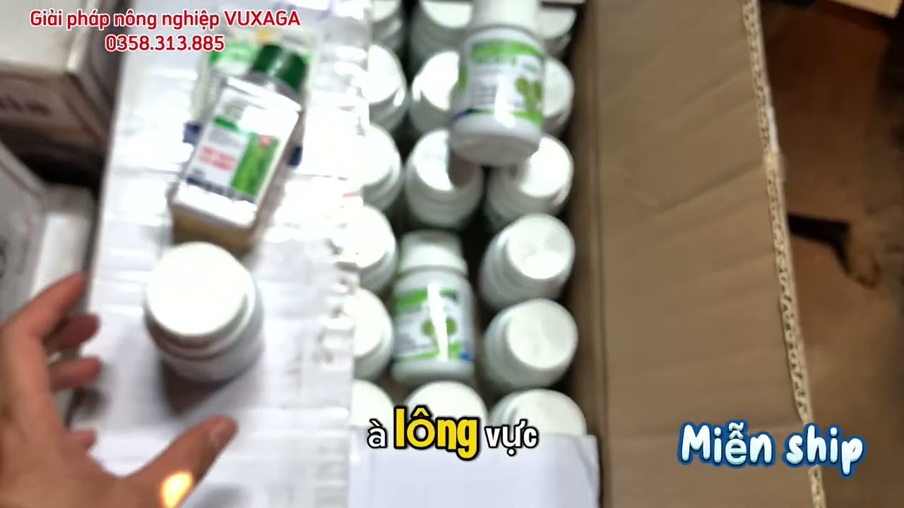 4 Loại Thuốc Trừ Cỏ Lúa Hiệu Quả Nhất 2025 – Diệt Cỏ Từ Mầm Đến Lớn!
