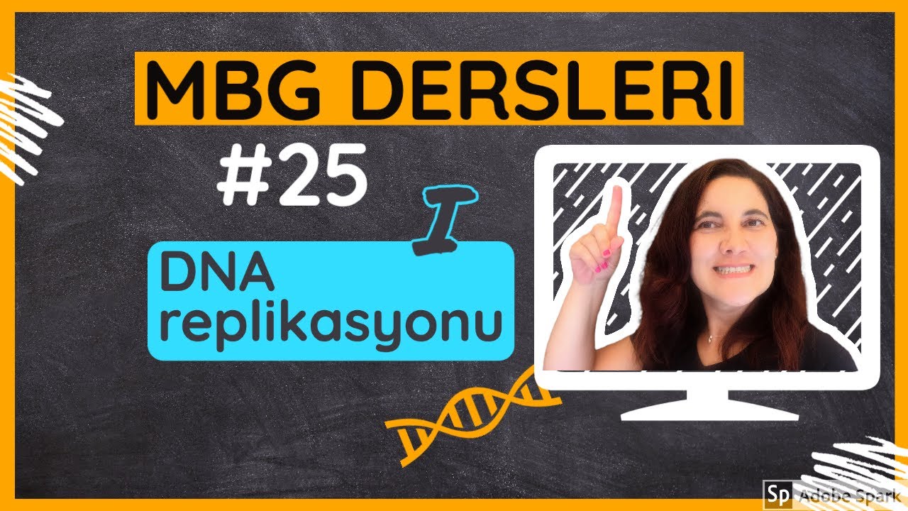 Moleküler Biyoloji ve Genetik Dersleri #25: DNA Replikasyonu - I