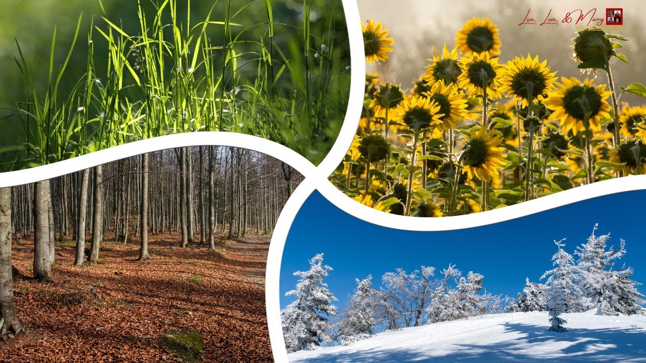 (REBROADCAST) Stop Rushing the Seasons – Finding Joy Where You Are