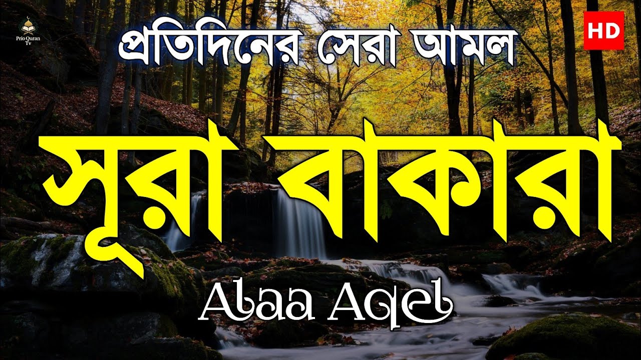 প্রতিদিনের সেরা আমল সূরা বাকারা তিলাওয়াত | Surah Al Baqara tilawat | quran recitation | Alaa Aqel 