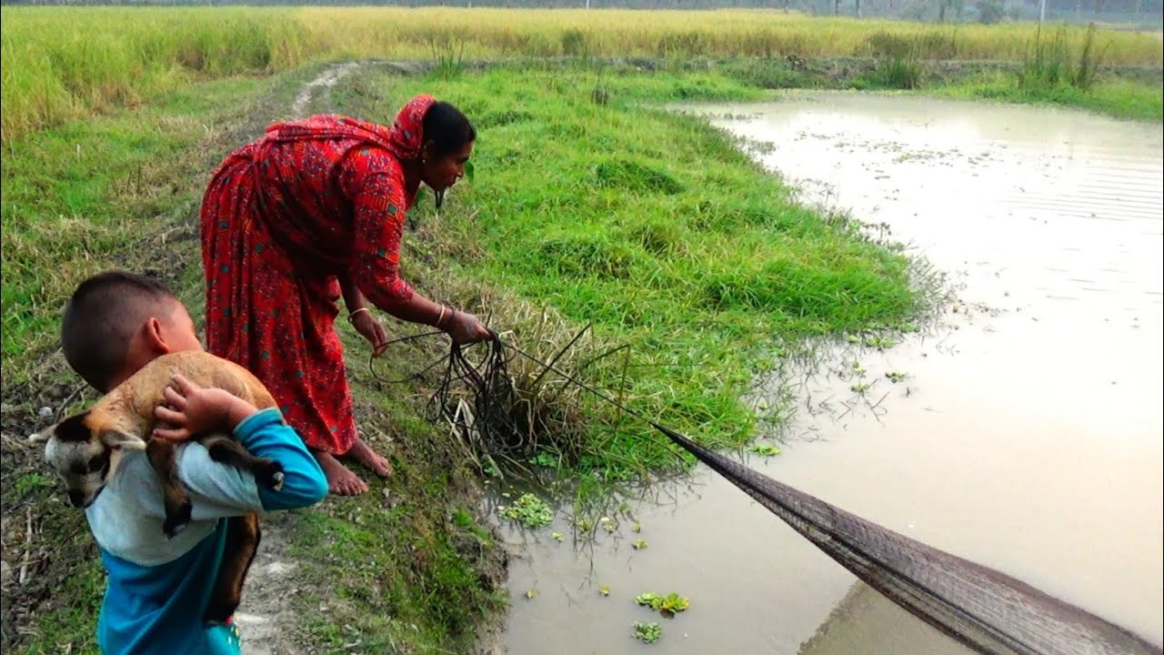 Cast Net Fishing - Net Fishing With Beautiful Natural (Part-484)