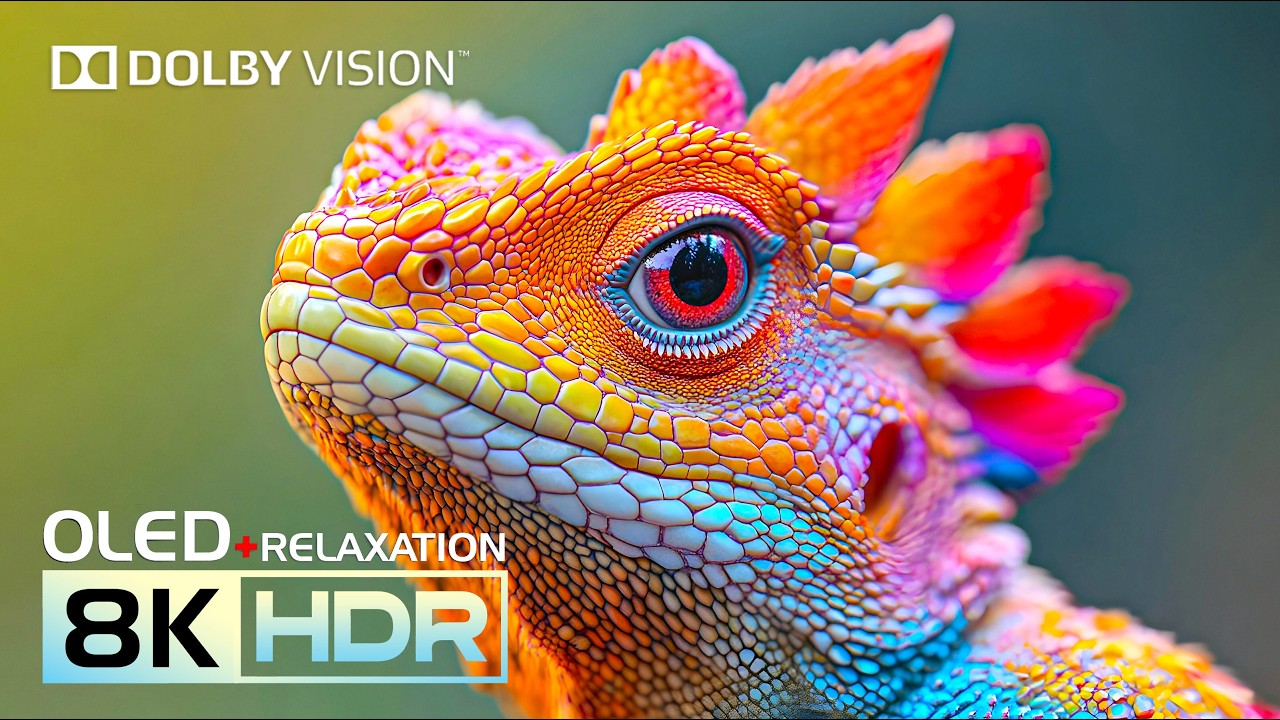 Amazing OLED HDR TEST 16K Video | Dolby Vision 8K HDR 240fps (8K/4K Video TV)